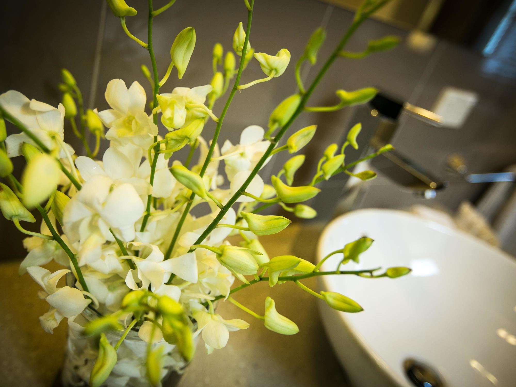 Gallery Apartments Warrnambool Zewnętrze zdjęcie